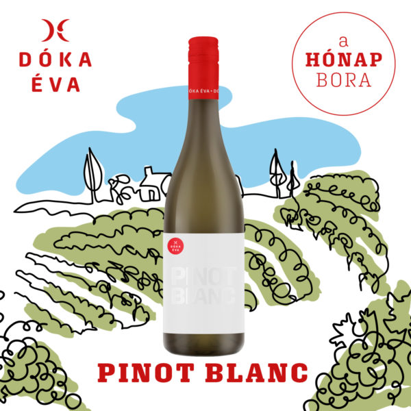 Pinot Blanc a hónap bora